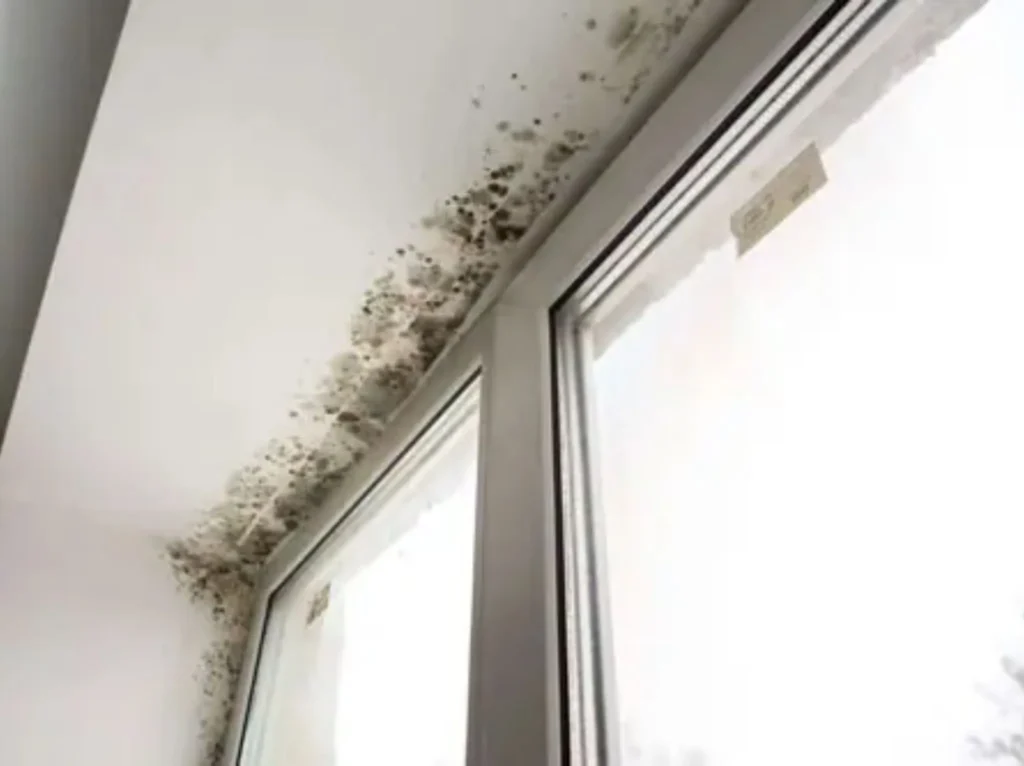 Mejora de calidad del aire interior con eliminación de humedades